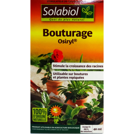 Bouturage Osiryl Bouturage Osiryl