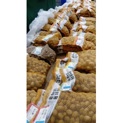 Plants de pommes de terre - Coopérative Agricole