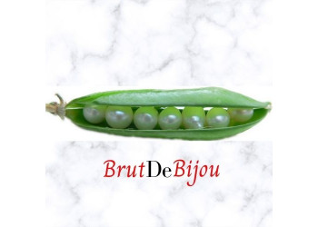 BRUT DE BIJOU